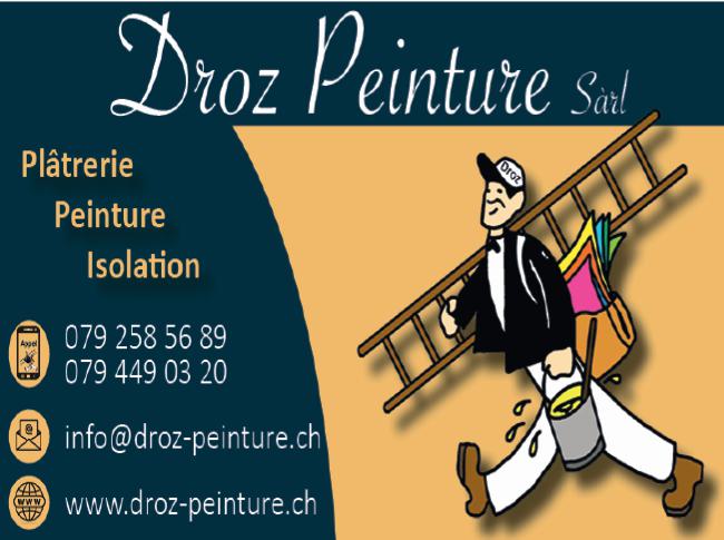 Droz Peintrure Sarl 2026